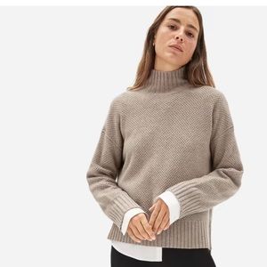 Everlane Recycled Cashmere Stroopwafel Turtleneck